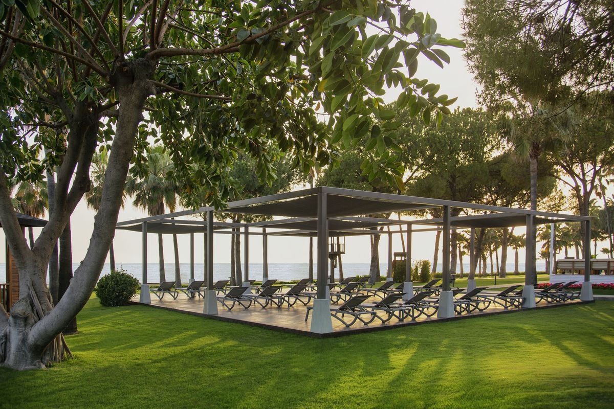 Acanthus Cennet Barut Collection 5