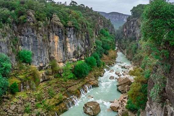 Pokaż wszystkie zdjęcia