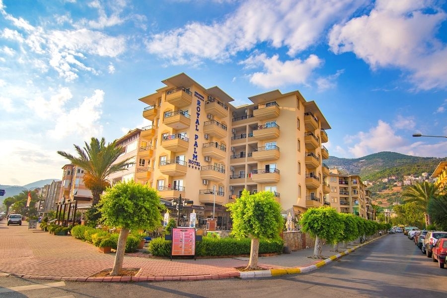 Kleopatra Royal Palm 2