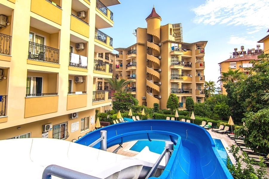 Kleopatra Royal Palm 5