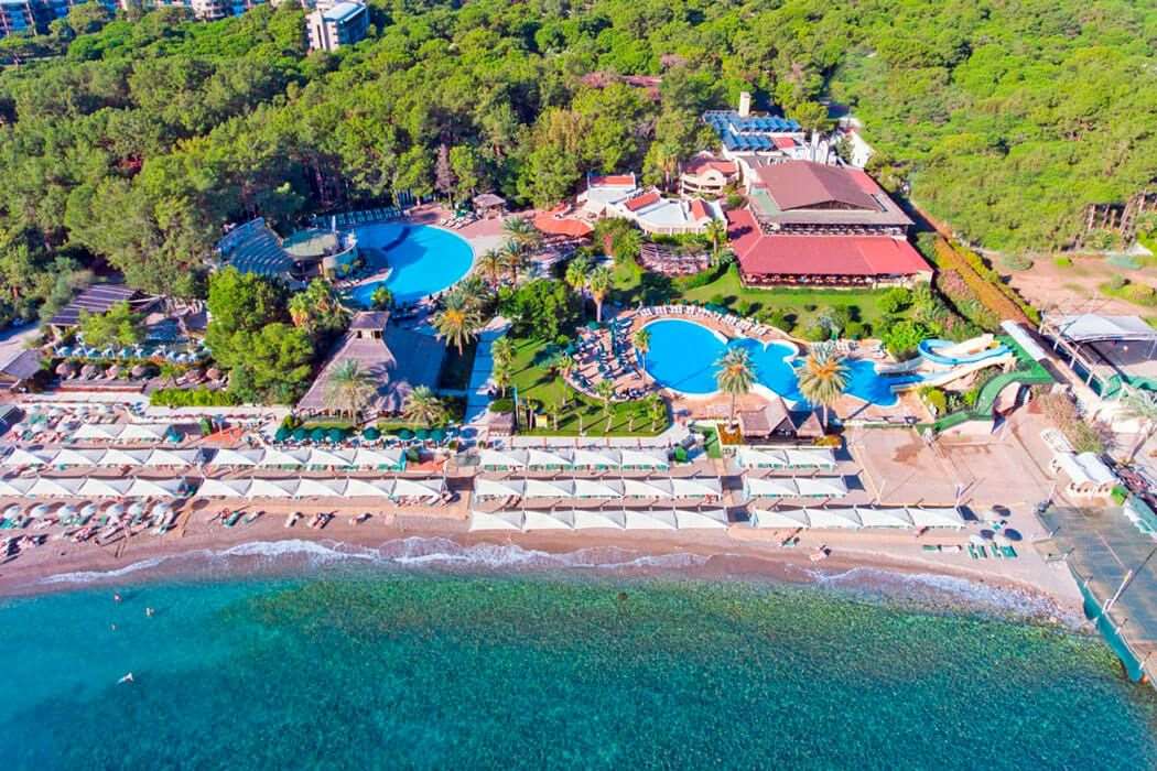 Gypsophila Club Marine