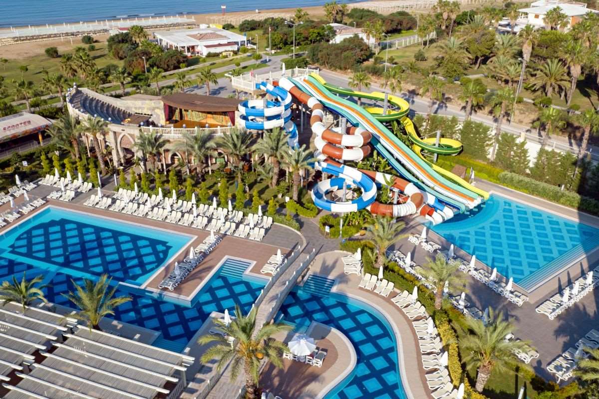 Pokaż wszystkie zdjęcia