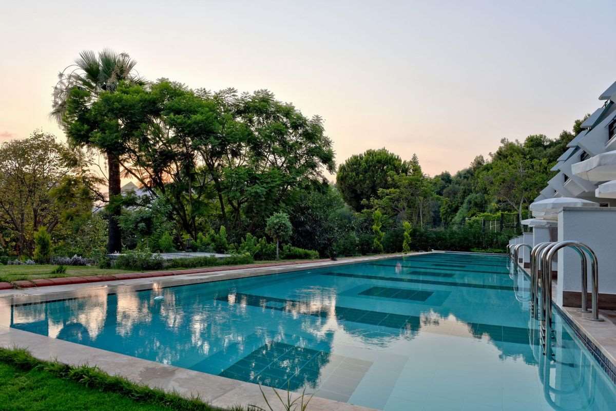 Side Star Elegance 5